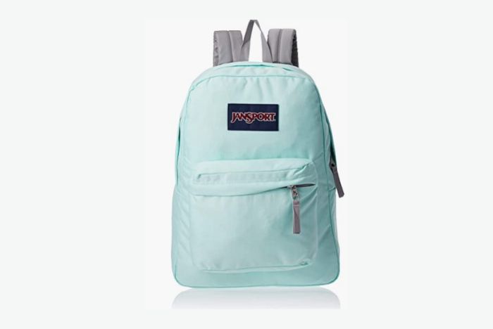 JanSport SuperBreak One Backpack 