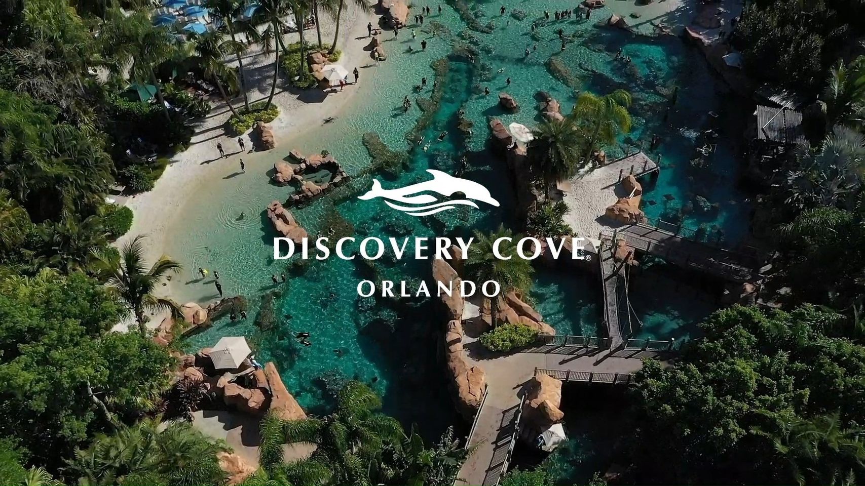 Discovery Cove coupon