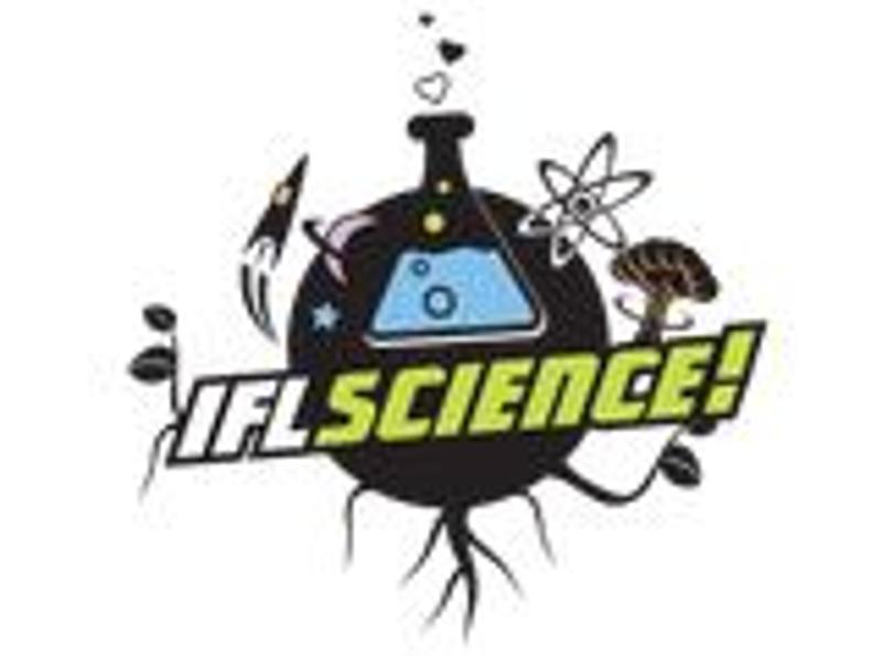 I Love Science Store