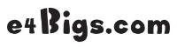 e4Bigs.com Coupons, Promo Codes, And Deals